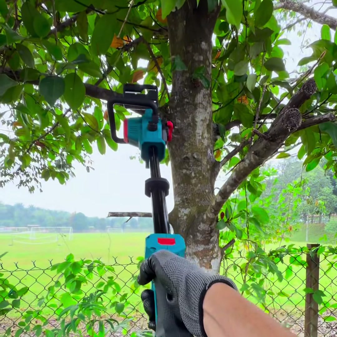Telescopic Reach